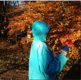girl in a blue hooded coat standing in the middle of autumn leaves.
